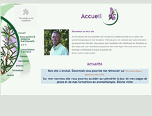 Tablet Screenshot of naturoenergeticien.fr